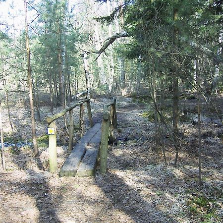 Fewoamglubigsee Wendisch Rietz Zewnętrze zdjęcie