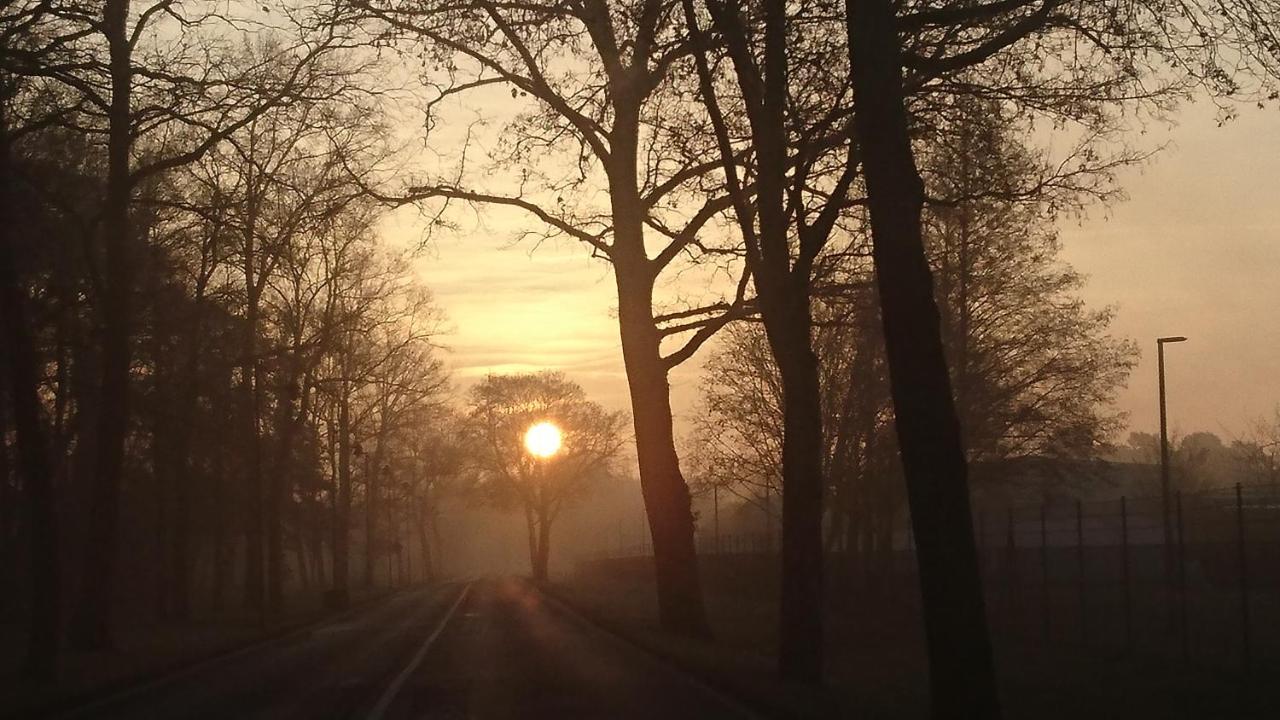 Fewoamglubigsee Wendisch Rietz Zewnętrze zdjęcie