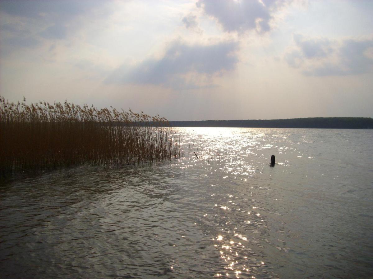 Fewoamglubigsee Wendisch Rietz Zewnętrze zdjęcie
