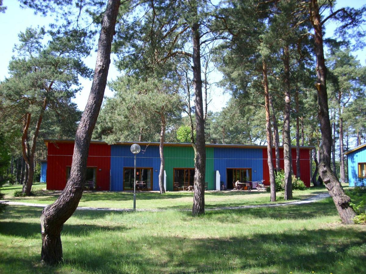 Fewoamglubigsee Wendisch Rietz Zewnętrze zdjęcie