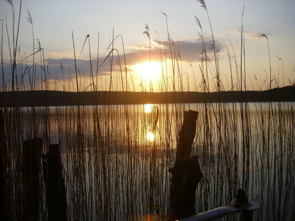Fewoamglubigsee Wendisch Rietz Zewnętrze zdjęcie